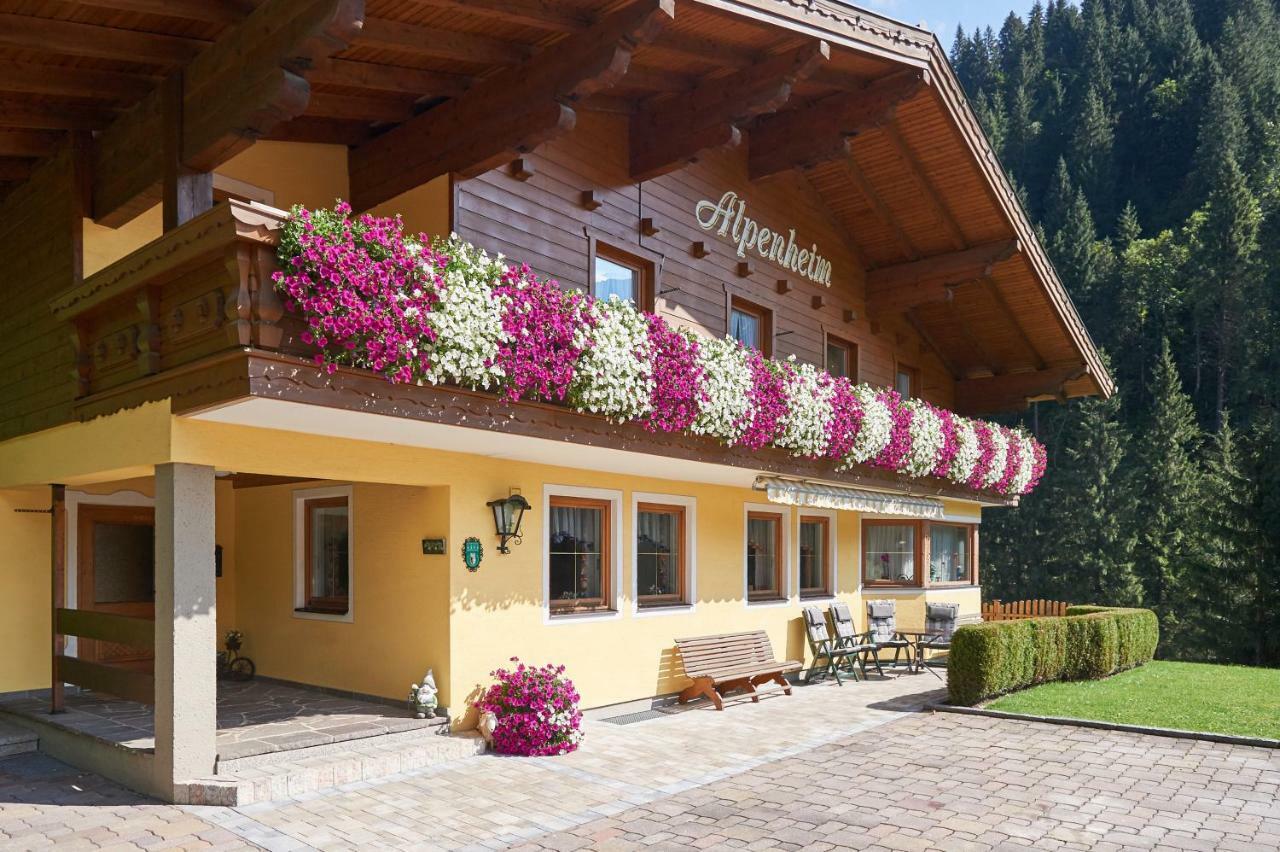 Haus Alpenheim Hotel Flachau Exterior photo