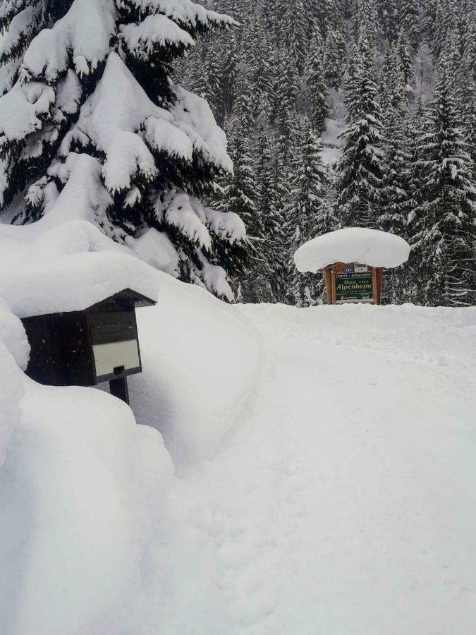 Haus Alpenheim Hotel Flachau Exterior photo
