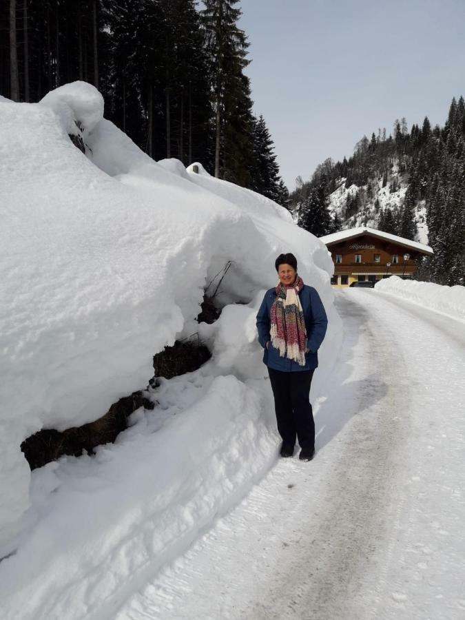 Haus Alpenheim Hotel Flachau Exterior photo